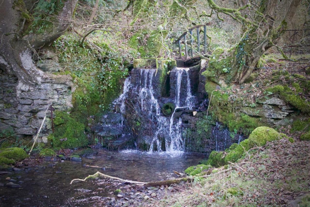 Waterfall Cottage Launceston Exterior foto